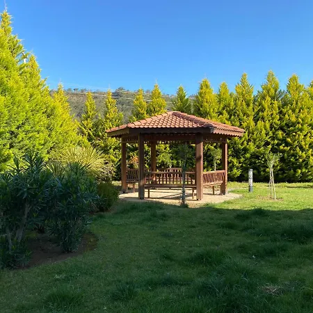 Luxury Apartment With Pool Near Calis Beach Apartment Fethiye